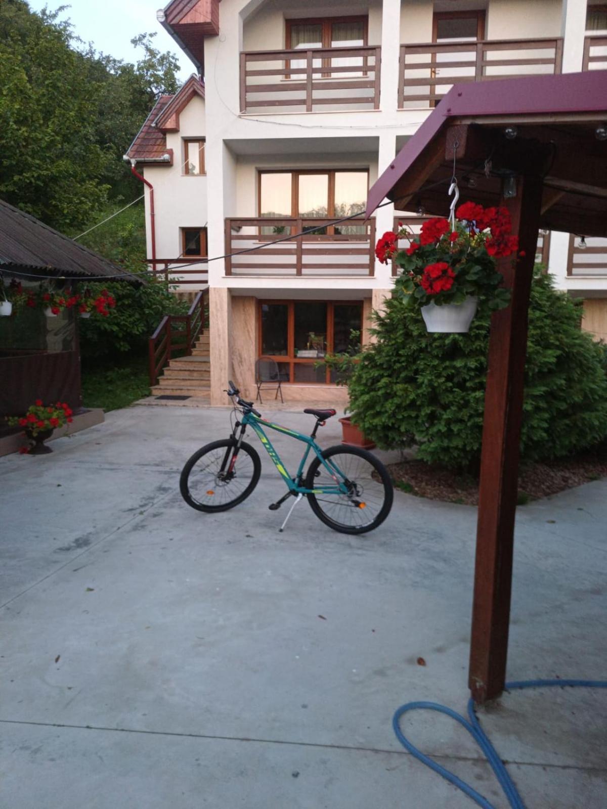 Pensiunea Valea Toplitei Rosia ภายนอก รูปภาพ