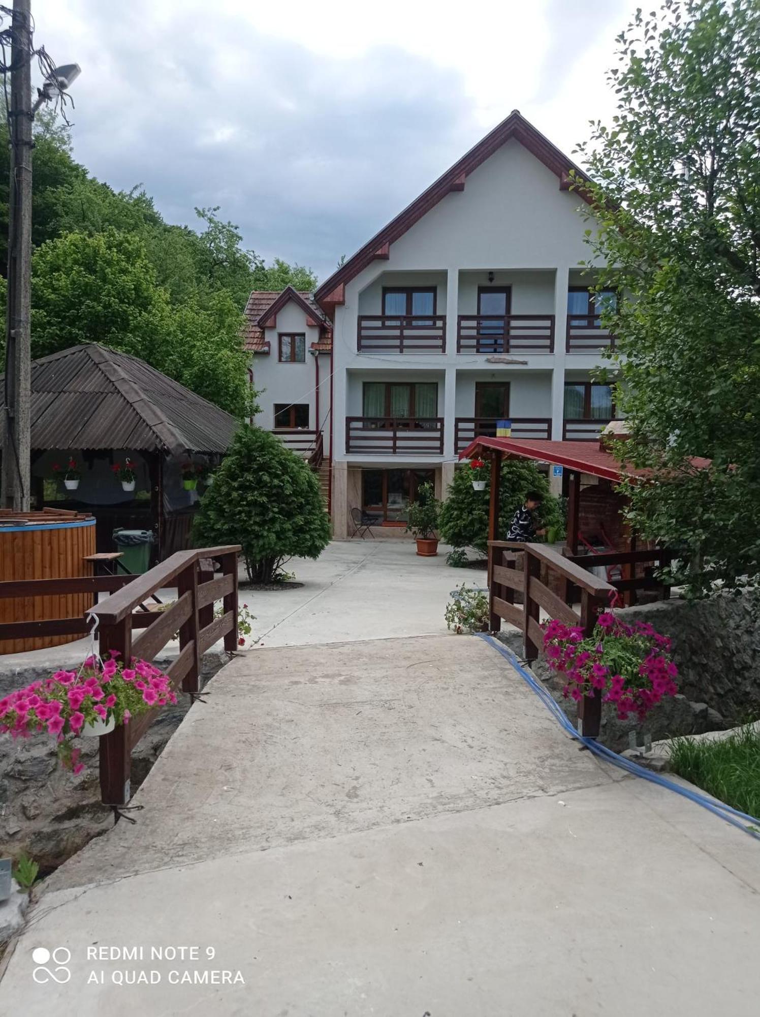 Pensiunea Valea Toplitei Rosia ภายนอก รูปภาพ